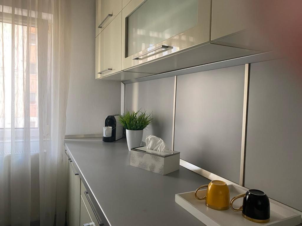 Apartament Doua Camere Baia Mare Bagian luar foto